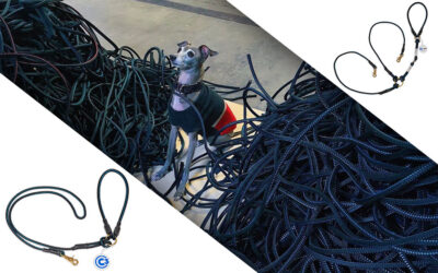 Introducing Vela and the C3-4K9 line of dog leashes!
